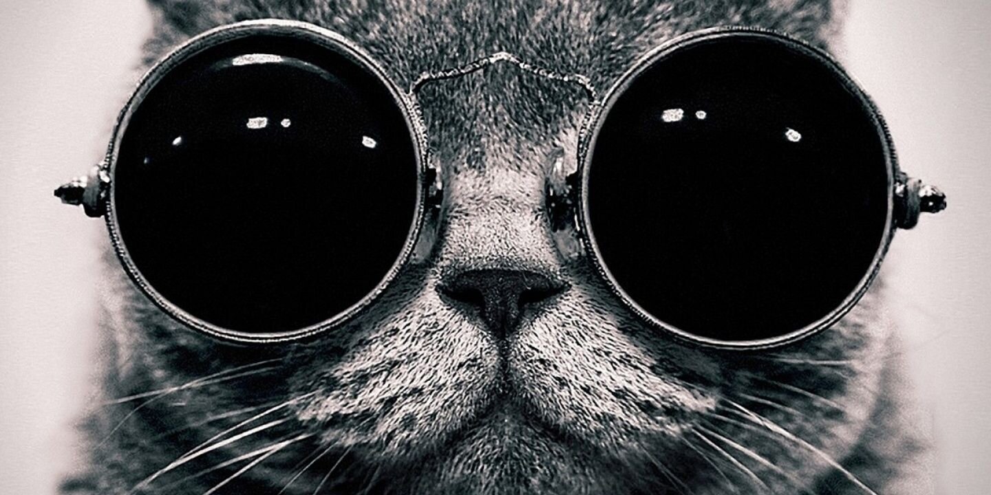 edaerool's profile banner image