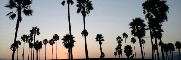 boobooomami Profile Banner