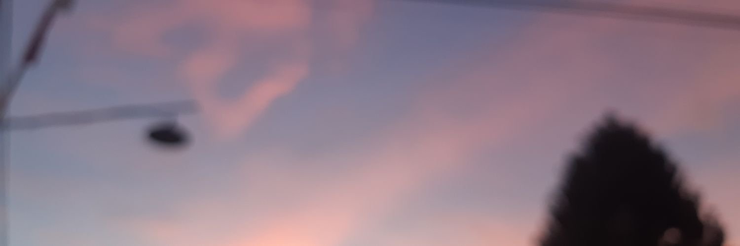 buahsedangsakit's profile banner image