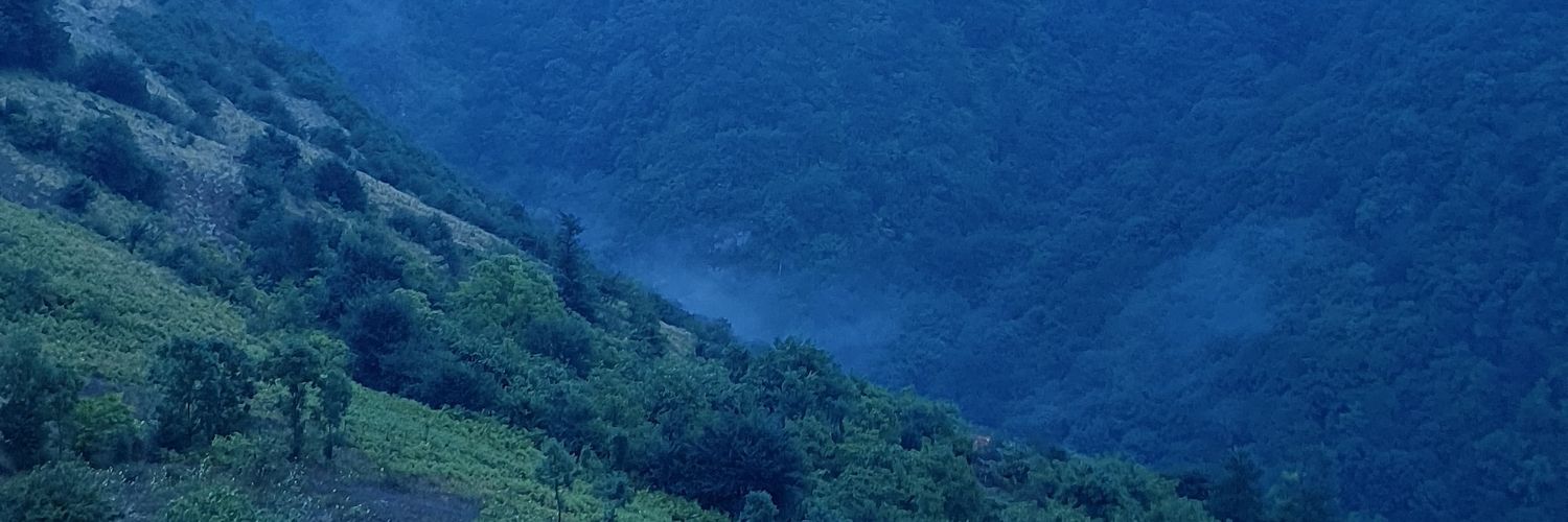 r_milad's profile banner image