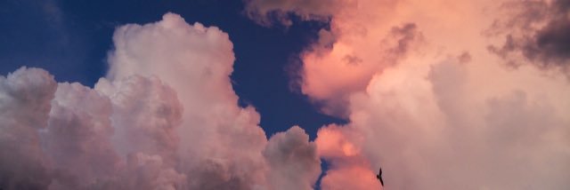 brbcarmo's profile banner image