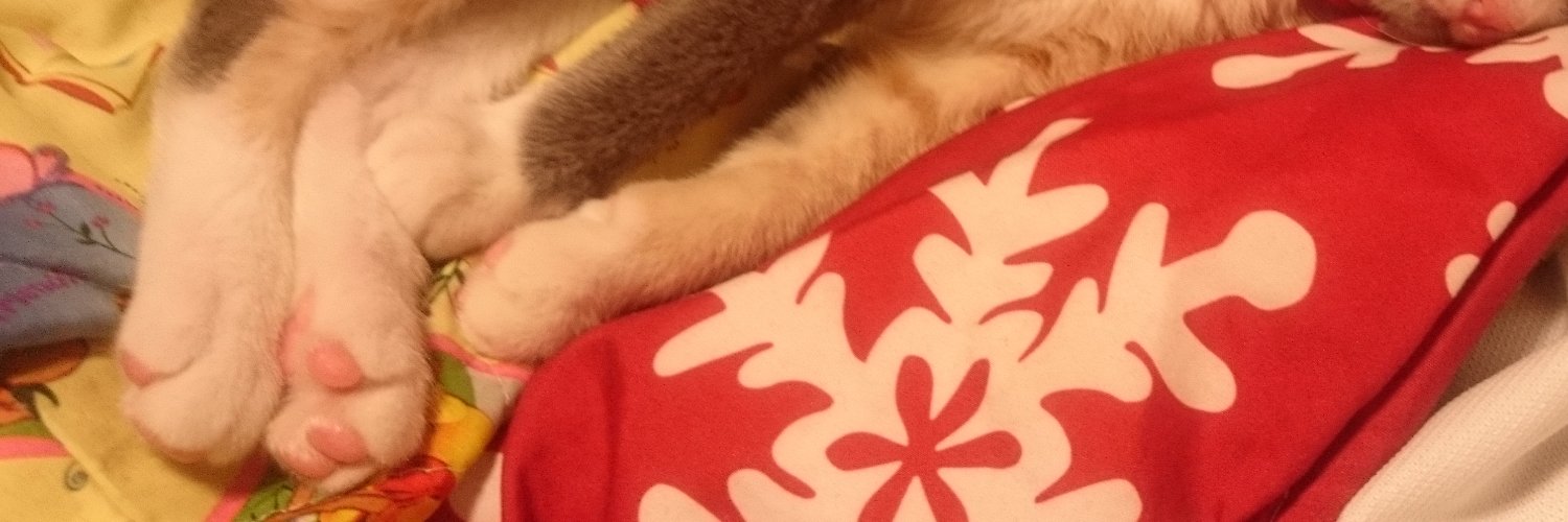 n1k9_'s profile banner image