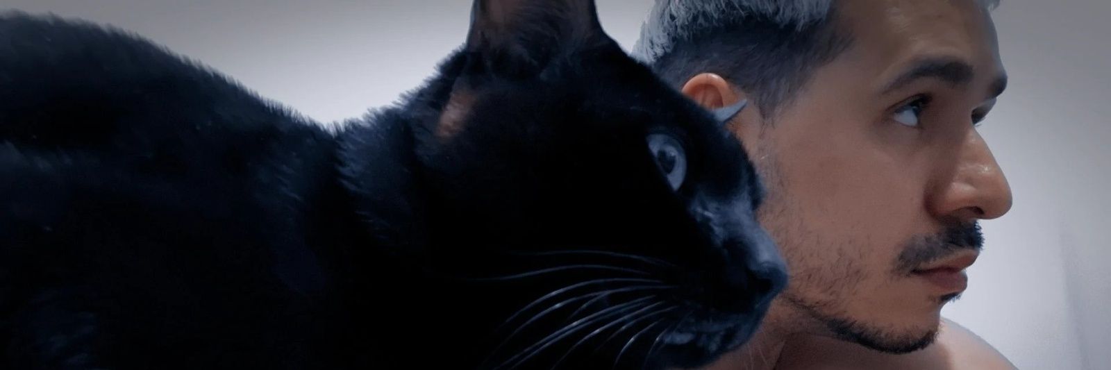 JuniorBeckmann's profile banner image