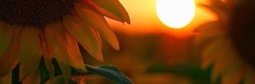 rachel1099's profile banner image