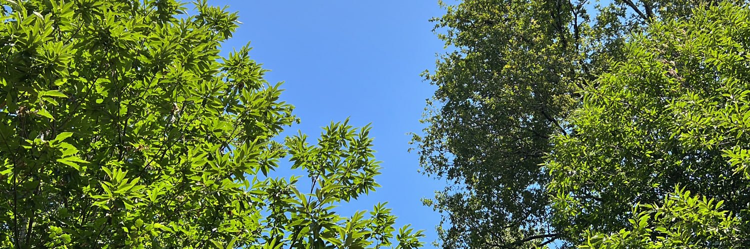 BenMah_'s profile banner image