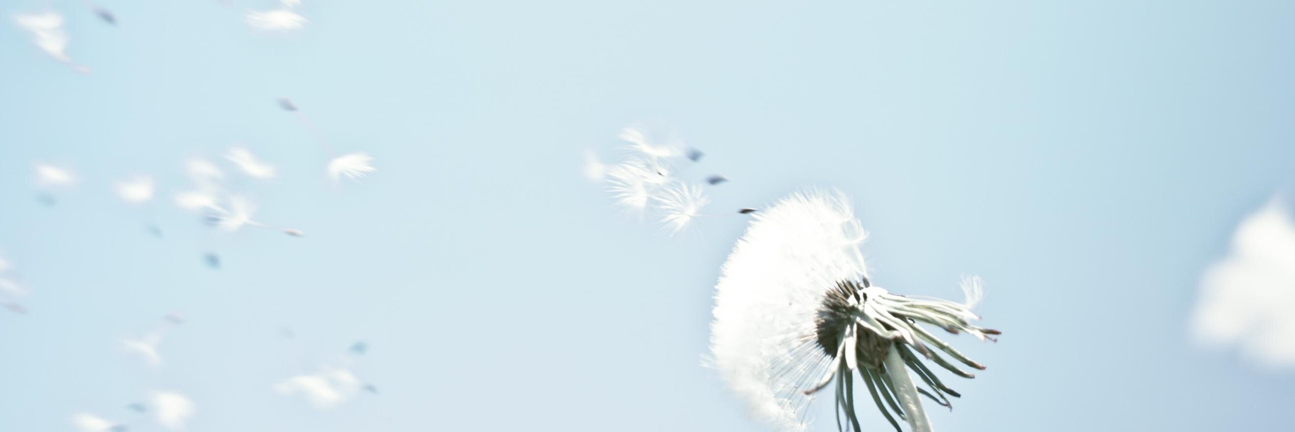 keikwang's profile banner image