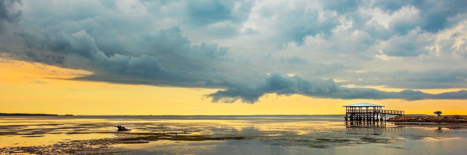 tsubrighton's profile banner image