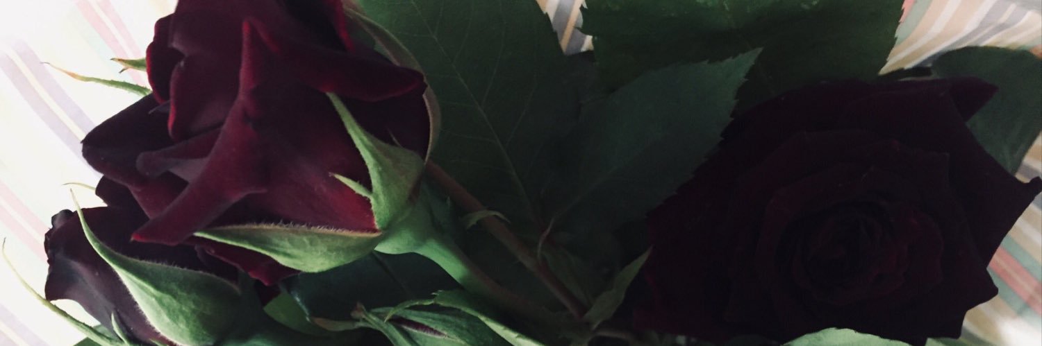 Am1Qu's profile banner image