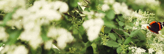 simo_russo's profile banner image