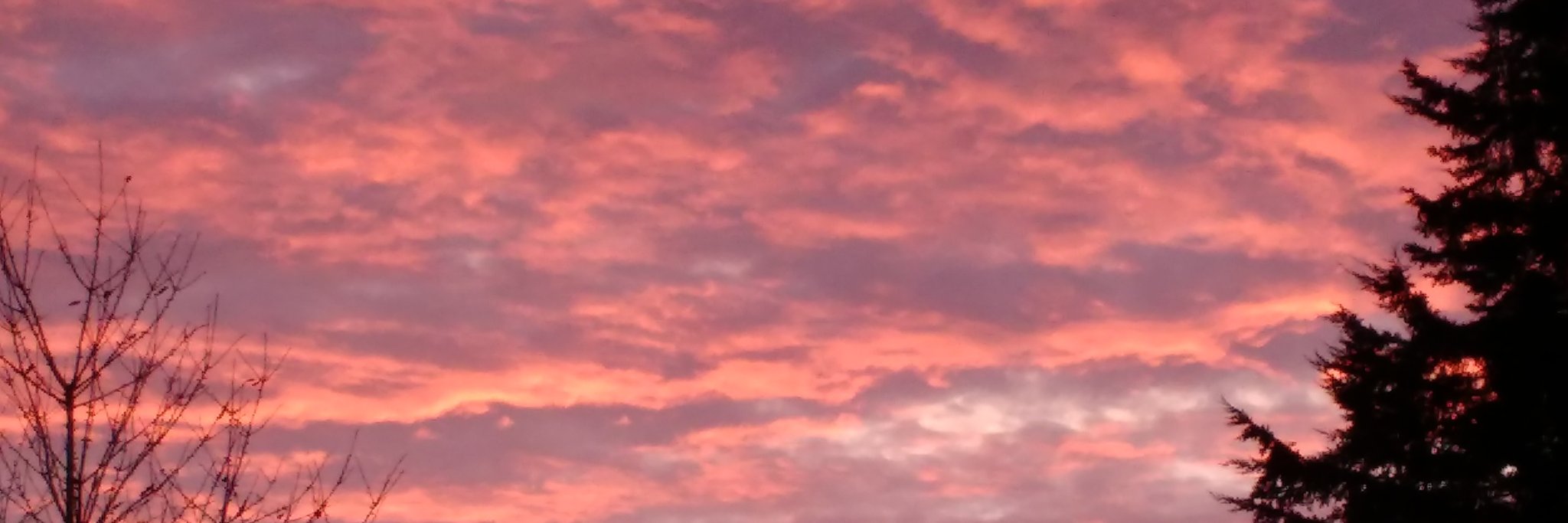 Suzi_Shaw's profile banner image