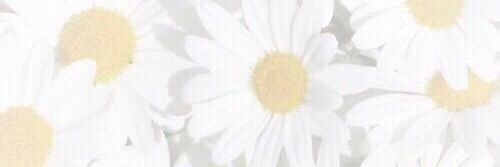 mh_2618's profile banner image