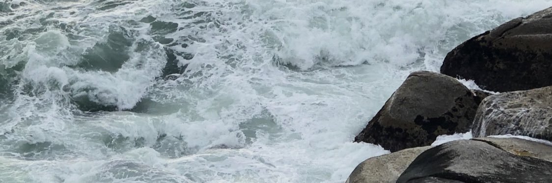 tamdrey_'s profile banner image