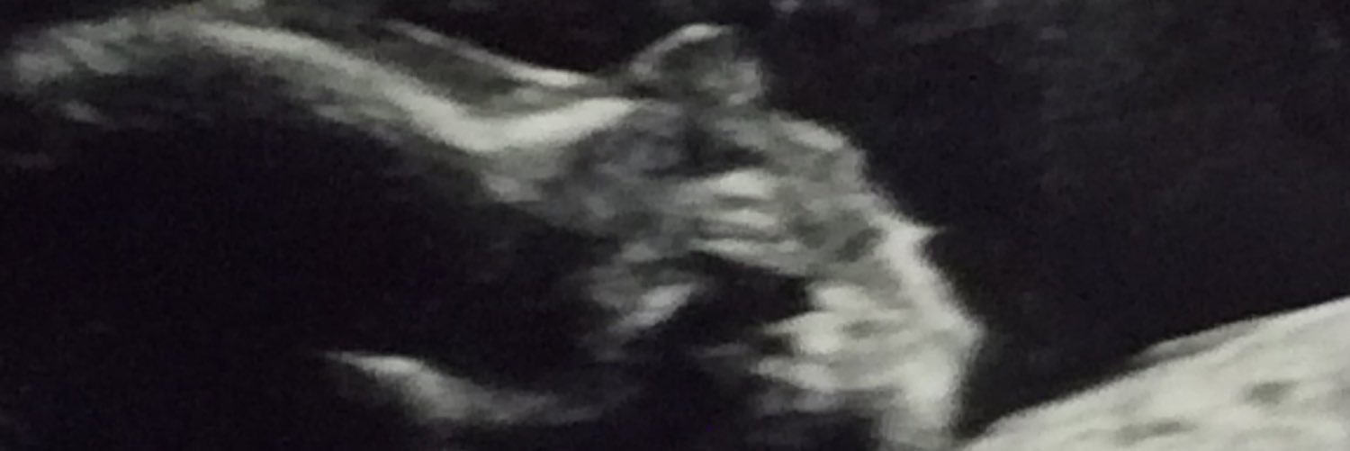 titianlocks's profile banner image