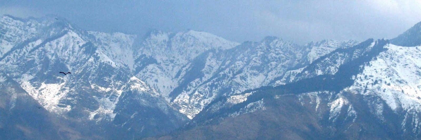 RowddyBisht's profile banner image