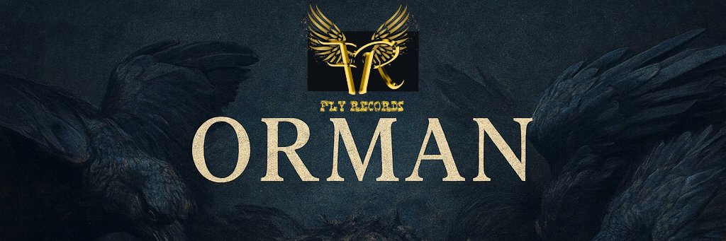 yngnvll's profile banner image
