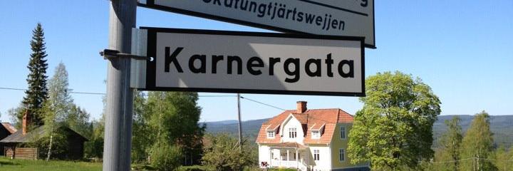 Gustav Karner banner