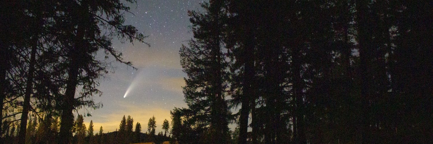 Marlow 🏔️🐾 Critterfolk Plushies 🦊🌱 banner