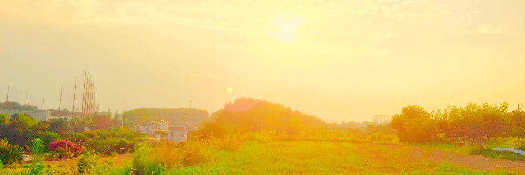 masaki04282's profile banner image