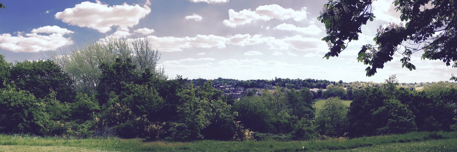 alphafitch's profile banner image