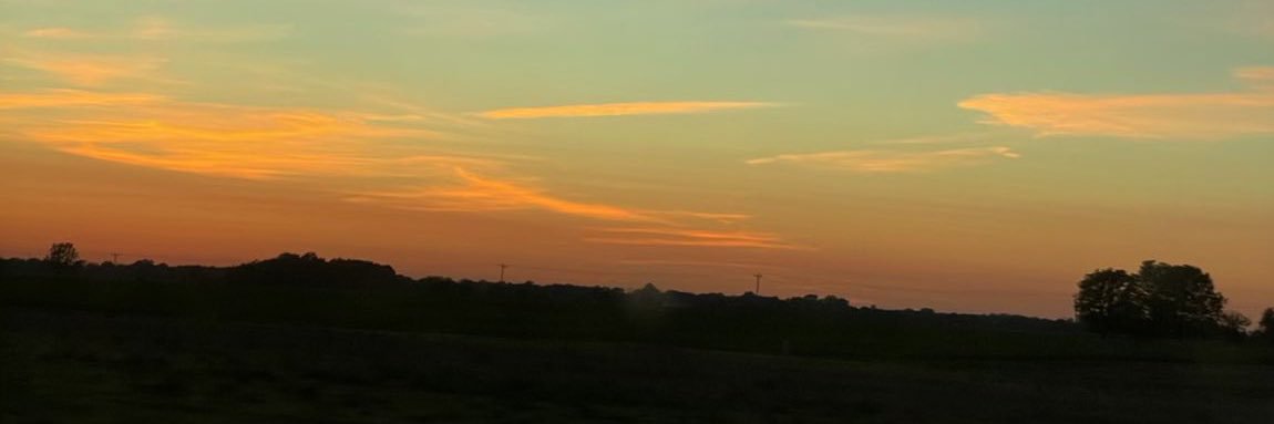 Dawn Romero banner