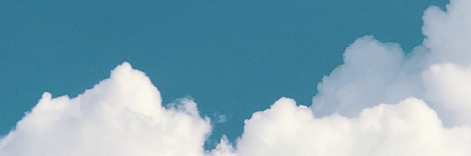 paaapapalm's profile banner image