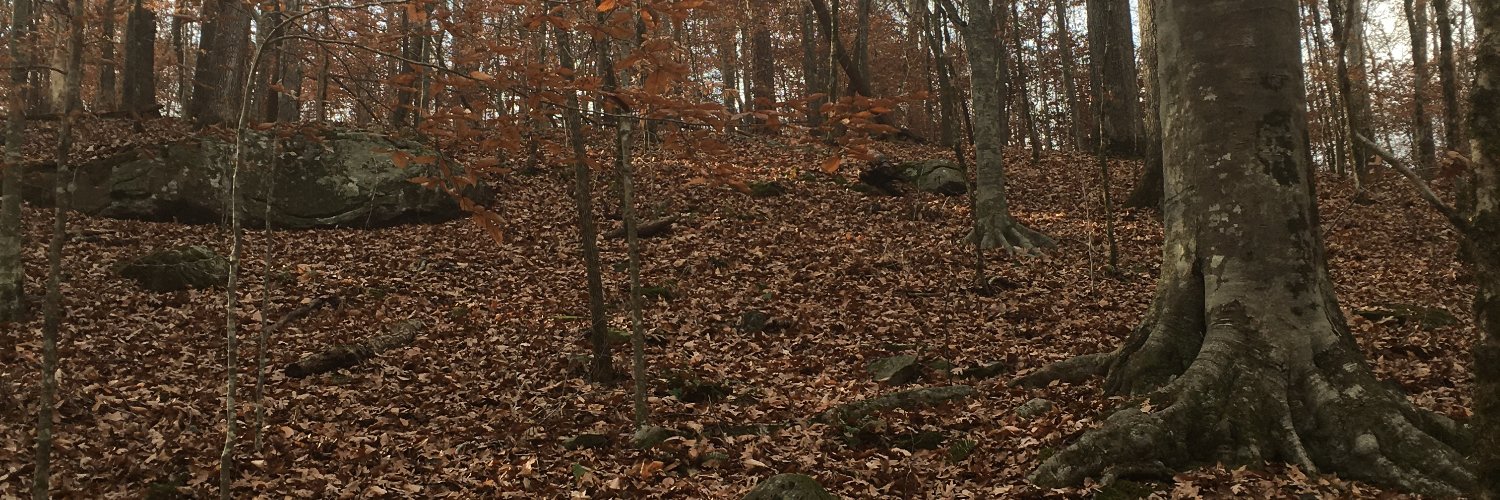 Steven Searcy banner