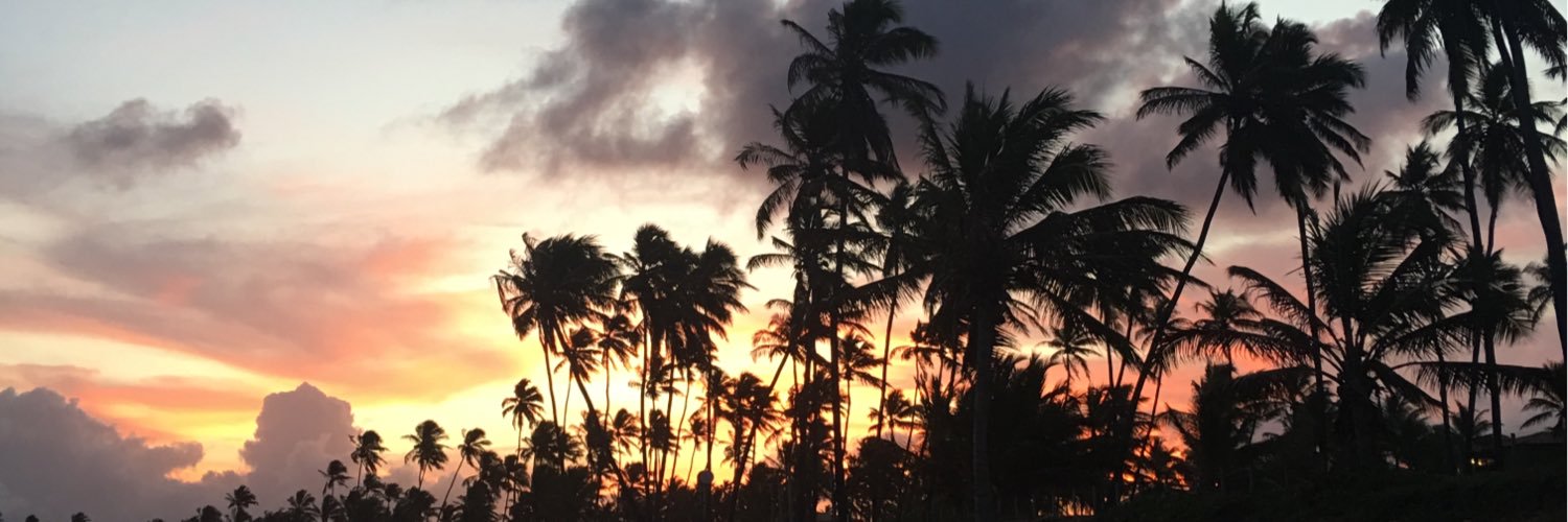nelsoncamargo's profile banner image