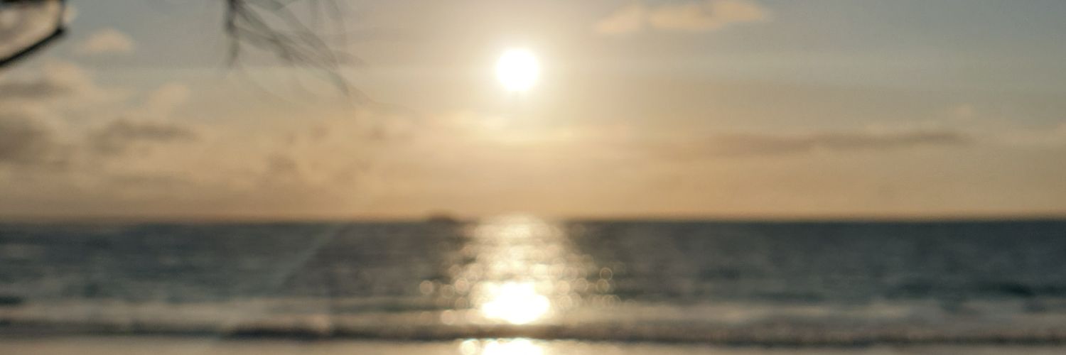 LeBonPib's profile banner image