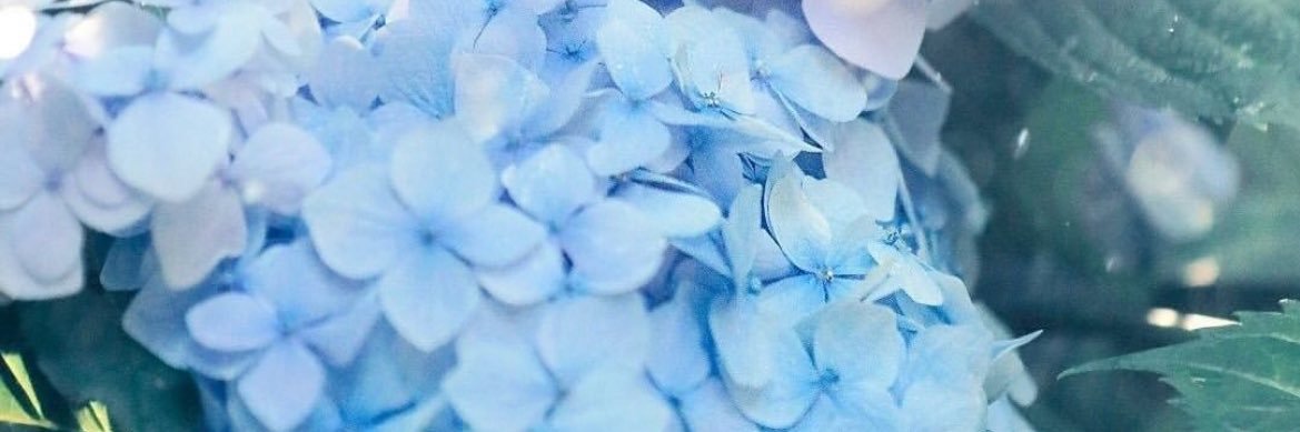 8happycherry's profile banner image