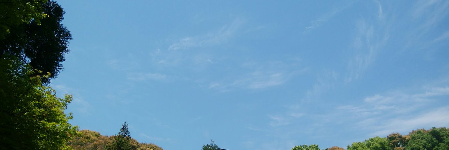 nsymakhd's profile banner image
