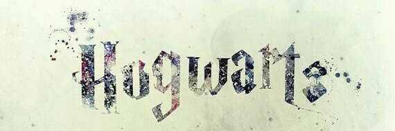 LisaKP2's profile banner image