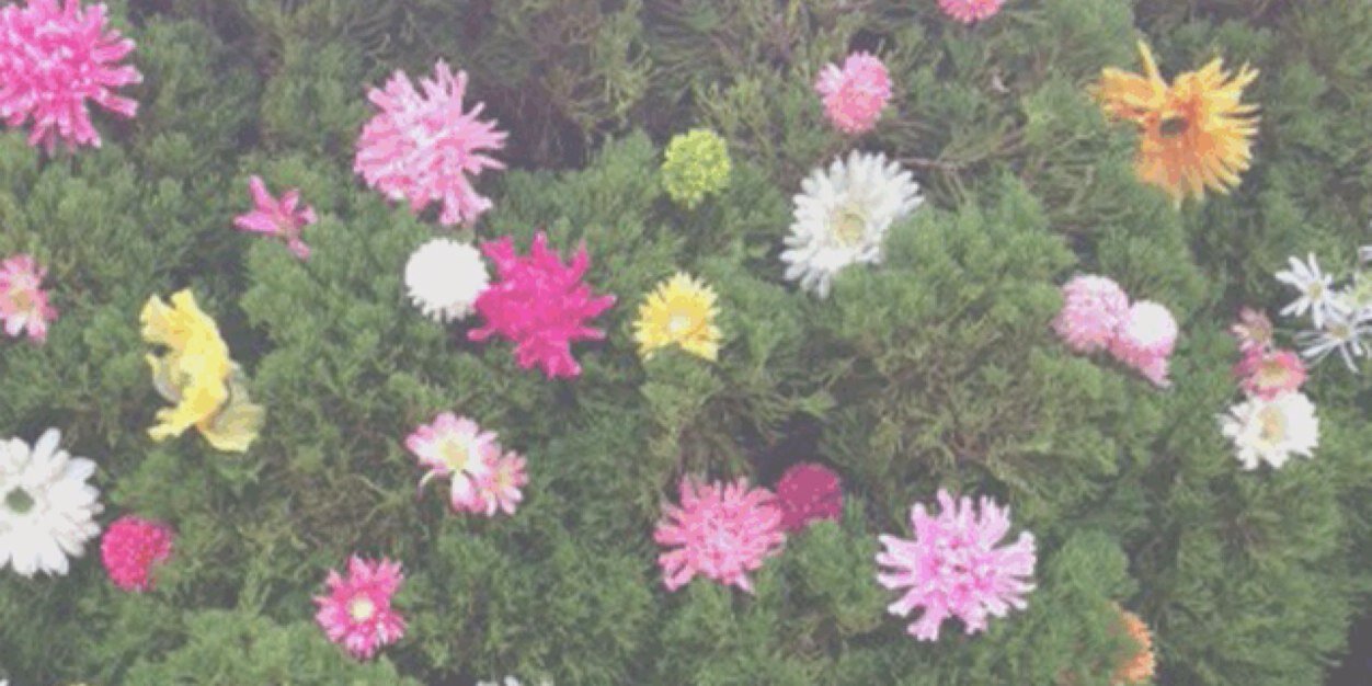 nayaaa913's profile banner image