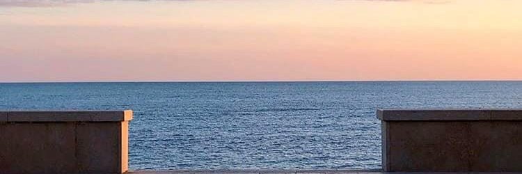 AlessandraVatri's profile banner image