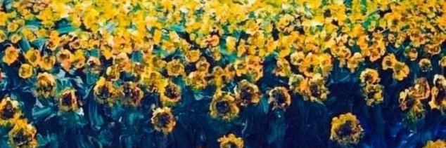 Velga 🇱🇻 🇺🇦 banner