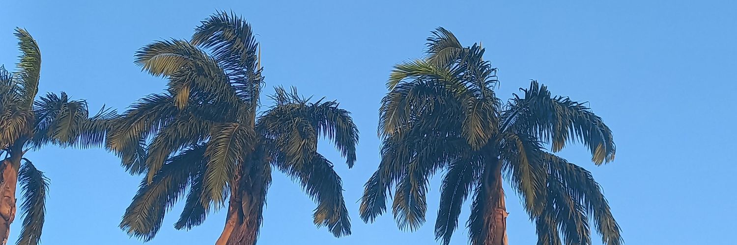 olumentee1's profile banner image