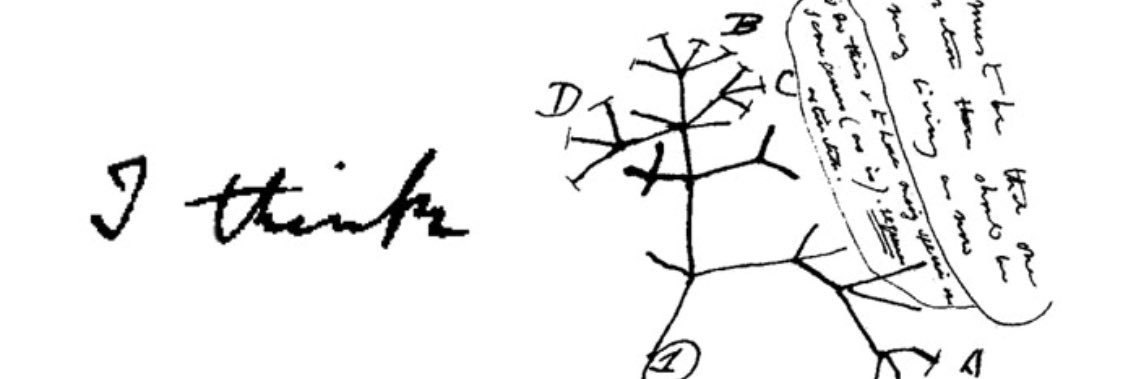 diepesce's profile banner image