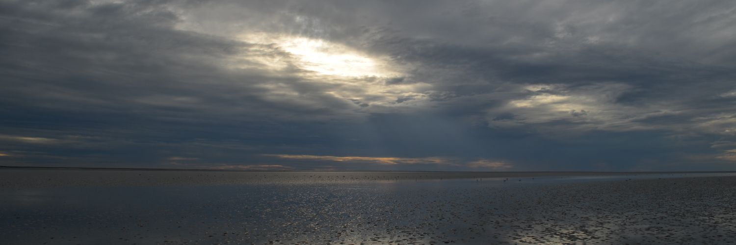 antoineleg's profile banner image
