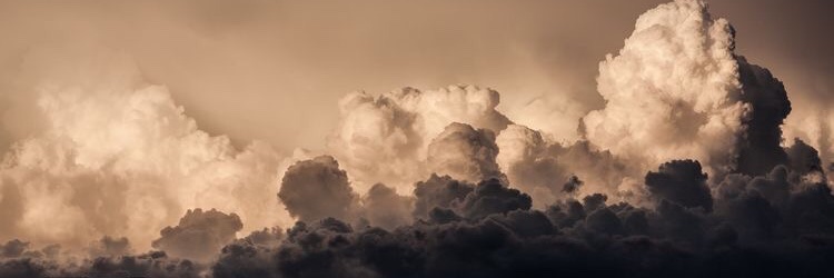 anacondarr's profile banner image