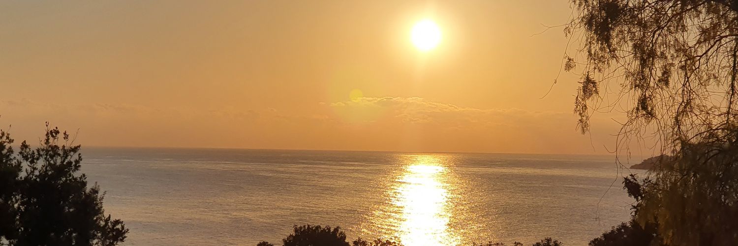 yclnhn's profile banner image