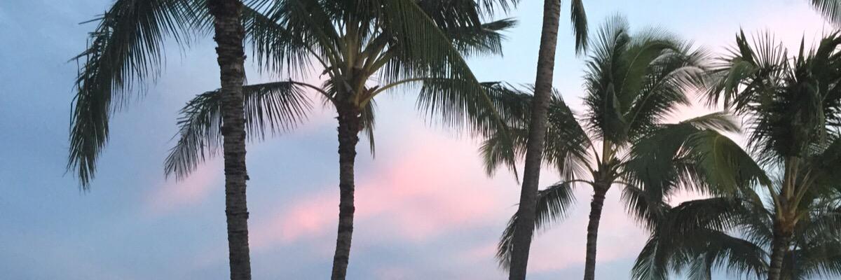 FMHussein's profile banner image
