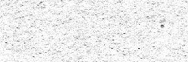 BleachingAgent Profile Banner