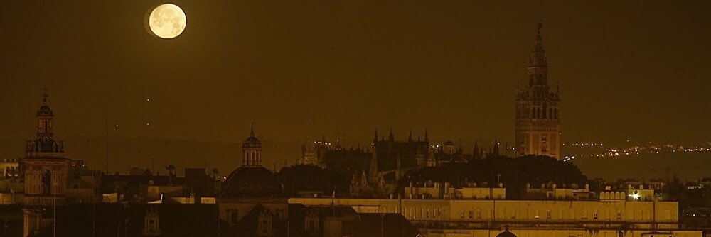 Vencejo Hispalense banner