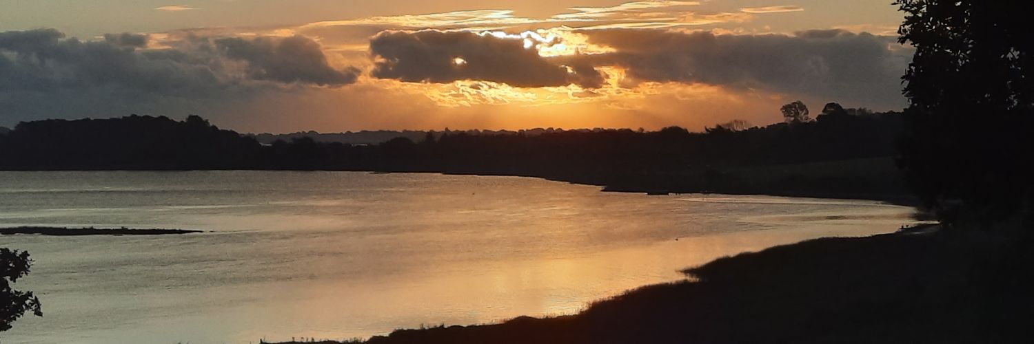 IkenCanoe's profile banner image
