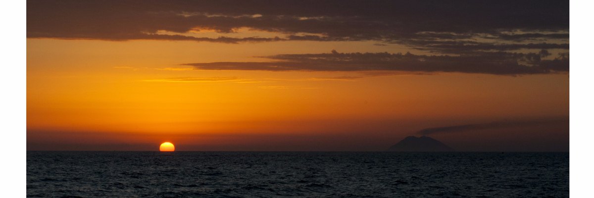 soniabrazzy's profile banner image