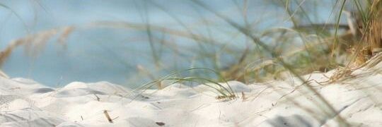 CindyMonsma's profile banner image