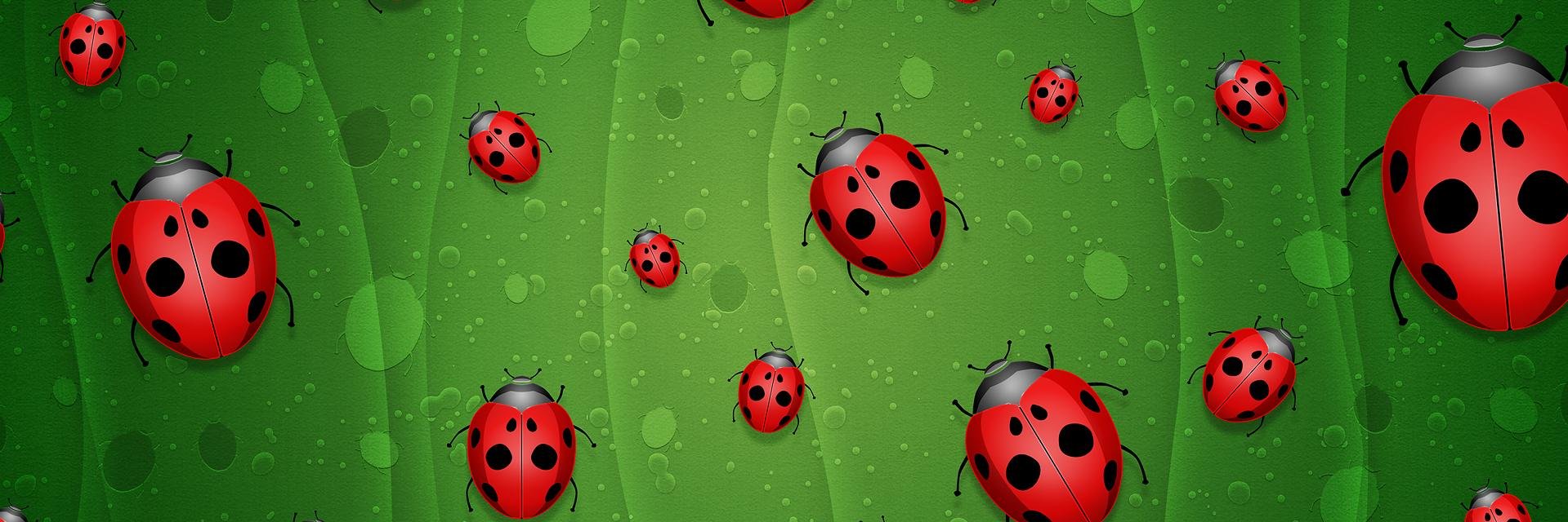 Ufobot's profile banner image