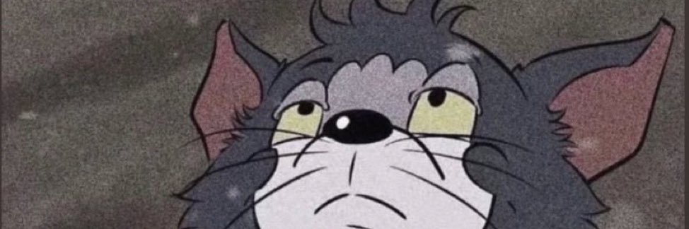 stvntk's profile banner image