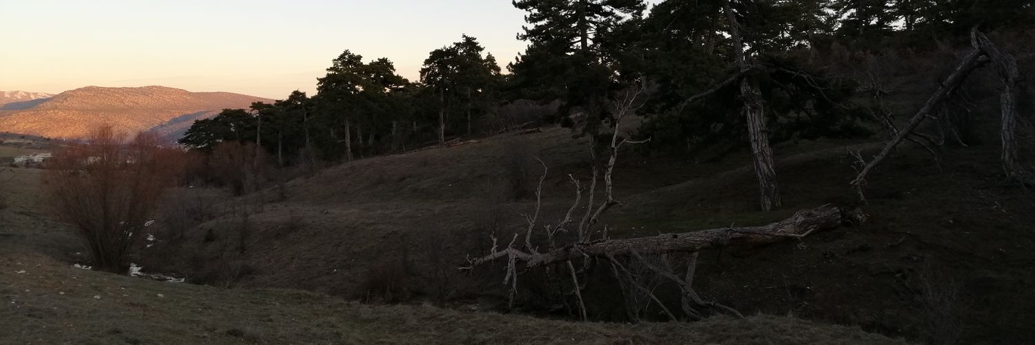 zhdczmc's profile banner image