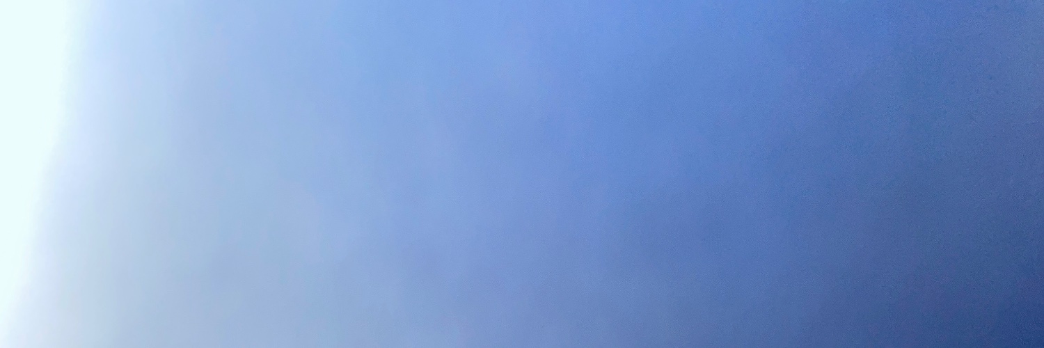 NioPermaBull banner