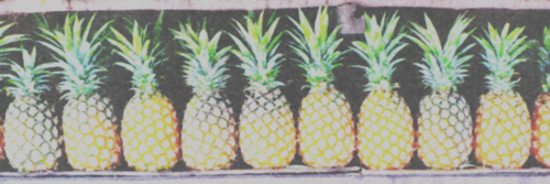 hello_effy's profile banner image